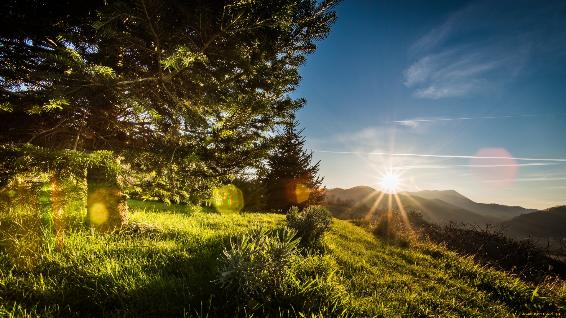 природа, восходы, закаты, утро, рассвет