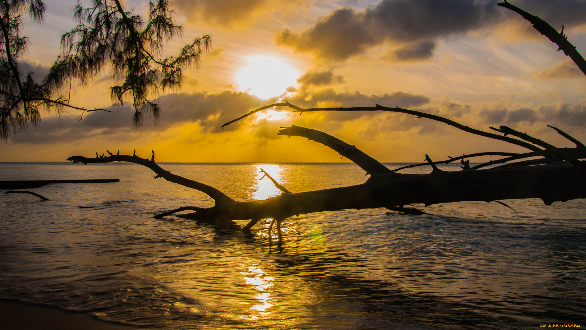 природа, восходы, закаты, закат