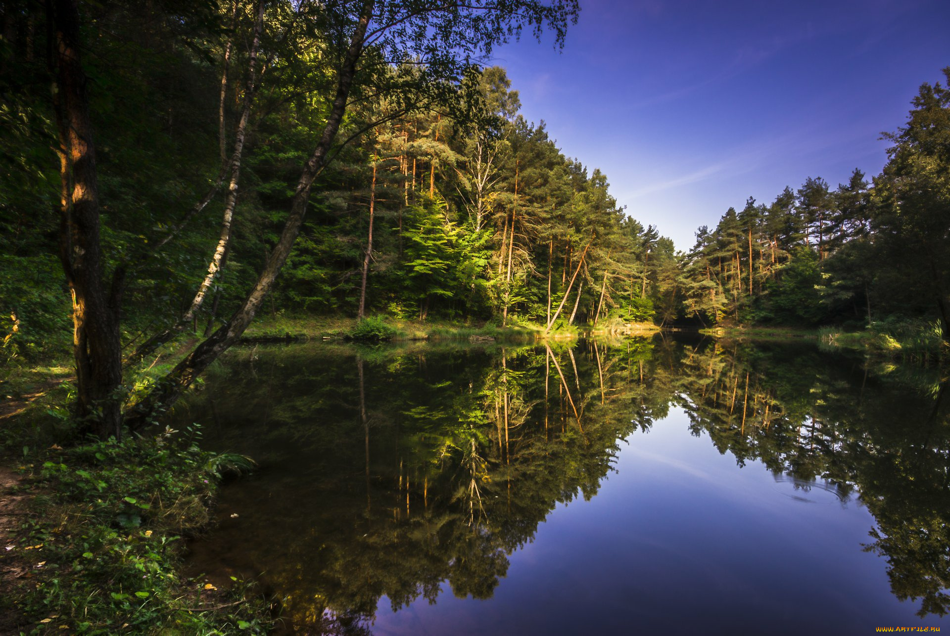 природа, реки, озера, лес, река