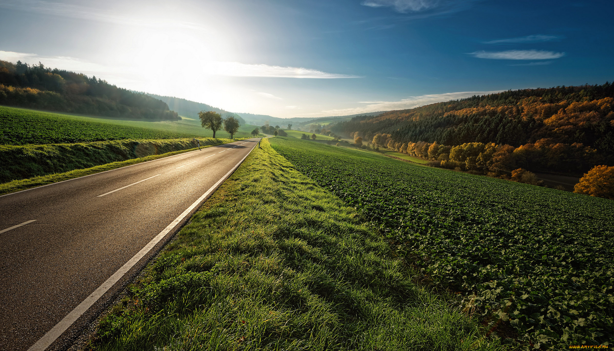 природа, дороги, шоссе