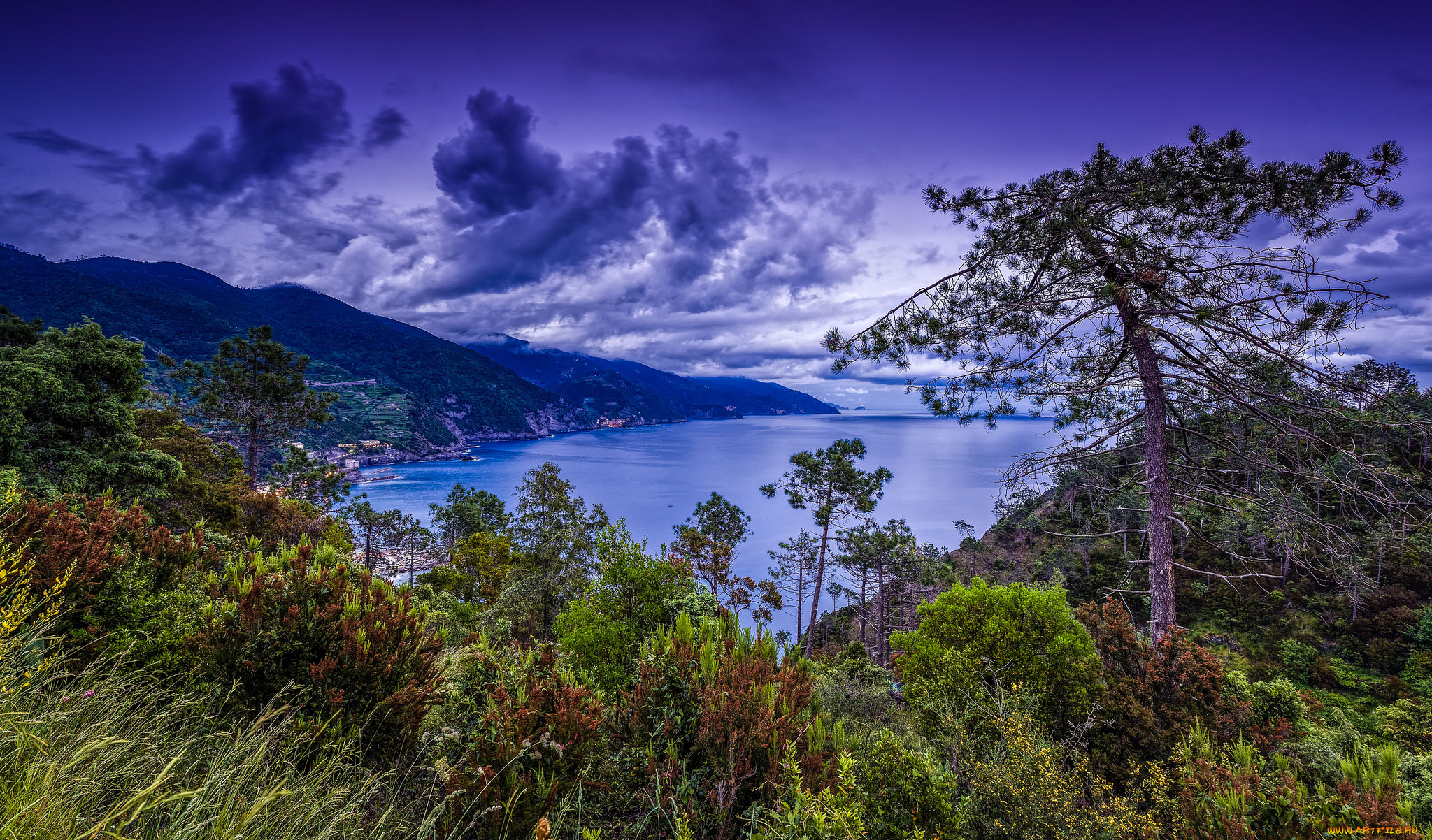 природа, побережье, панорама, бухта