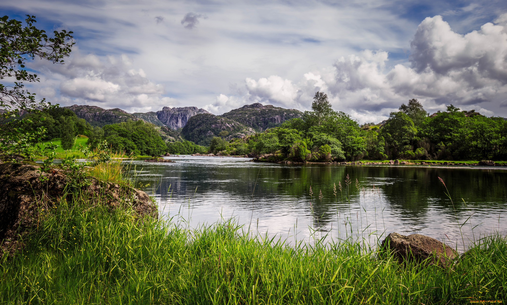 природа, реки, озера, река, лес