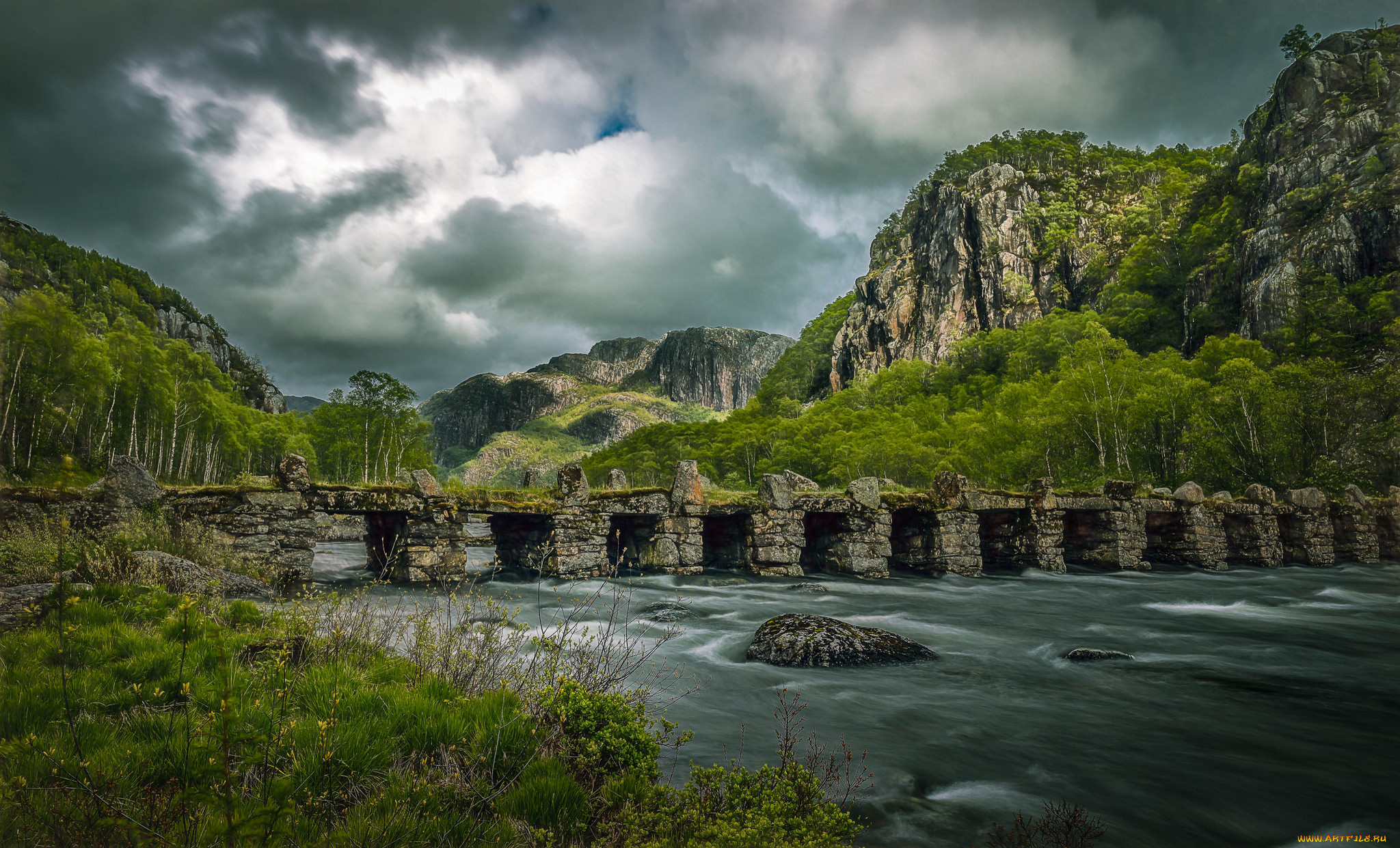 природа, реки, озера, лес, река