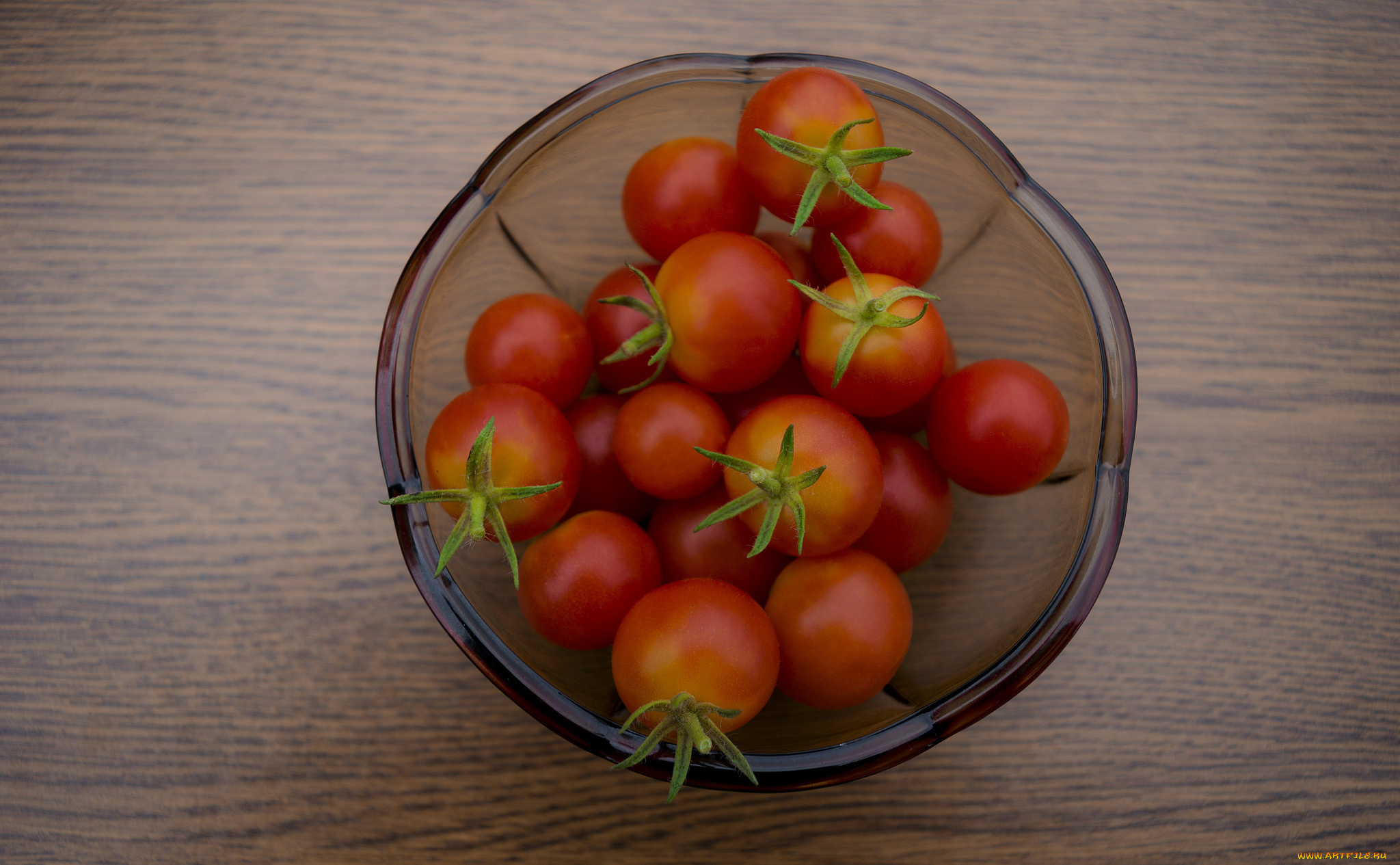 еда, помидоры, томаты