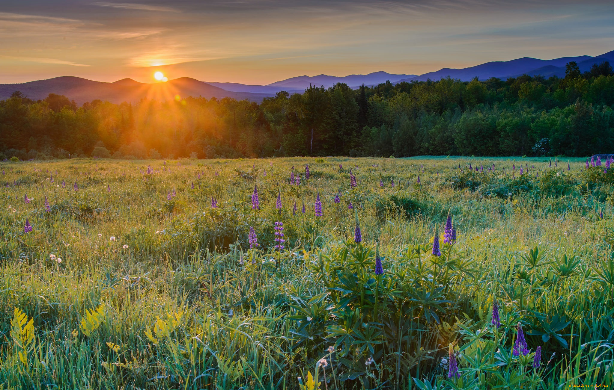 природа, восходы, закаты, рассвет