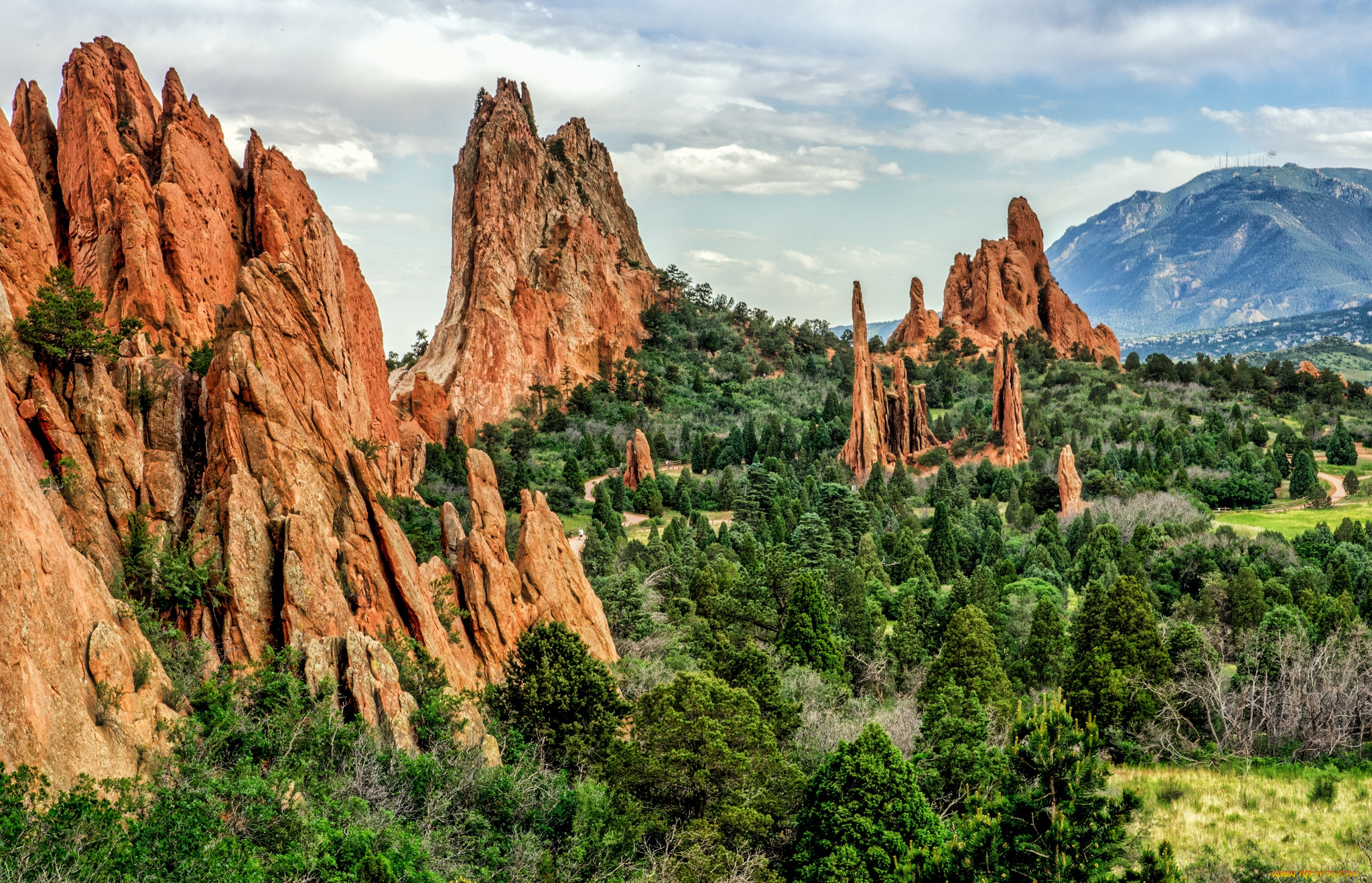 природа, горы, скалы, пики, лес