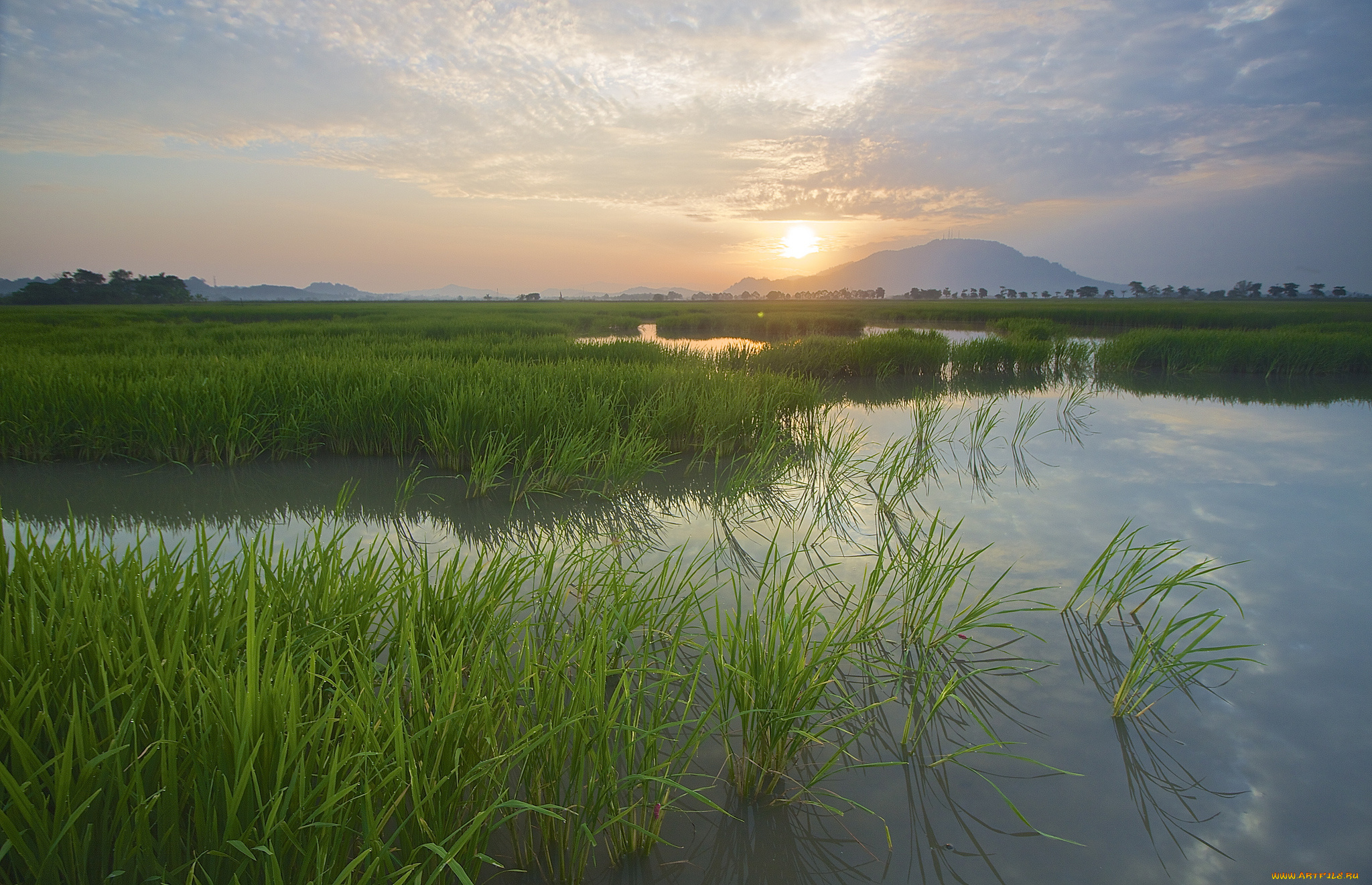природа, восходы, закаты, рассвет