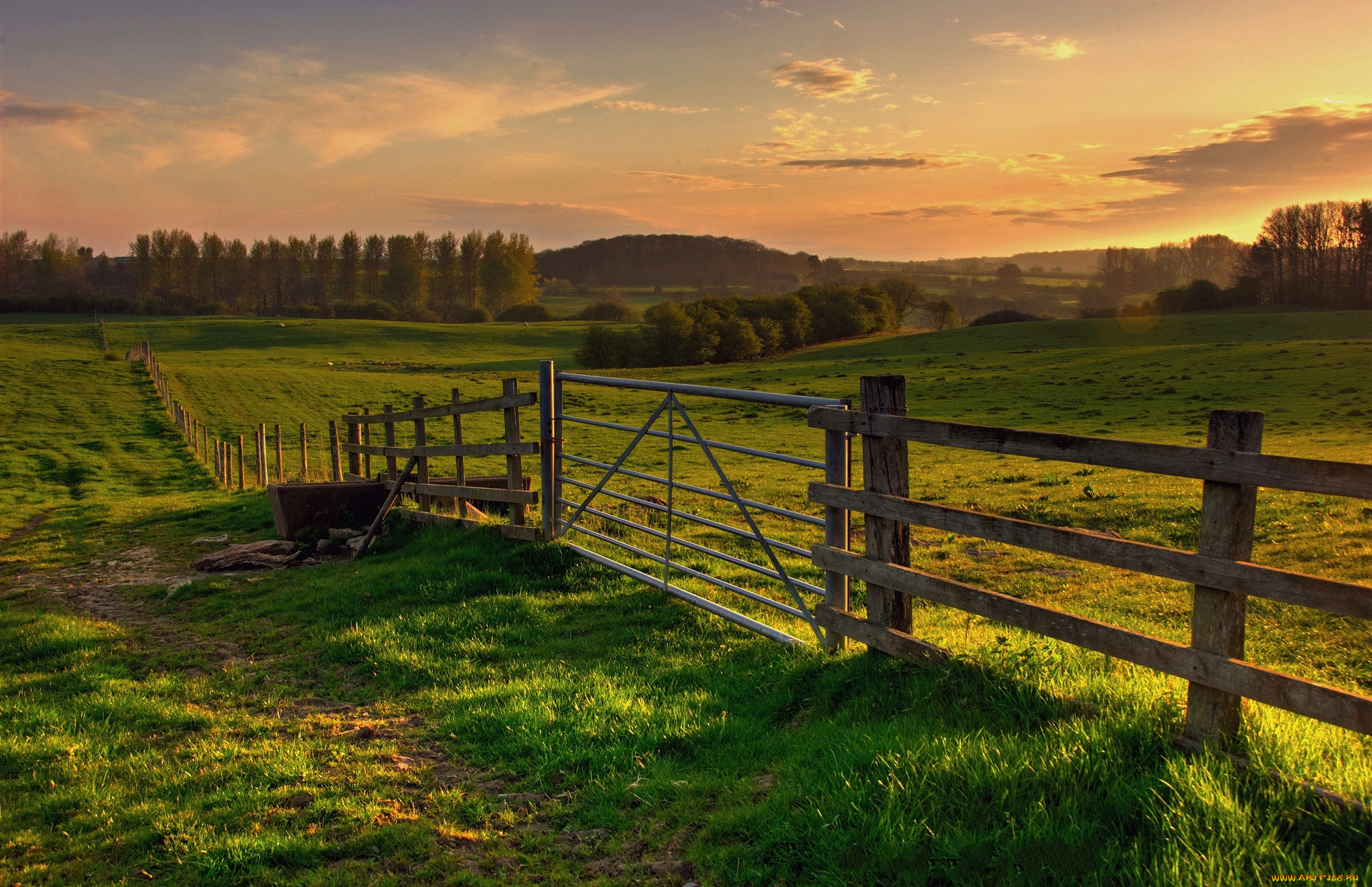 природа, дороги, поле, изгородь, тропинка