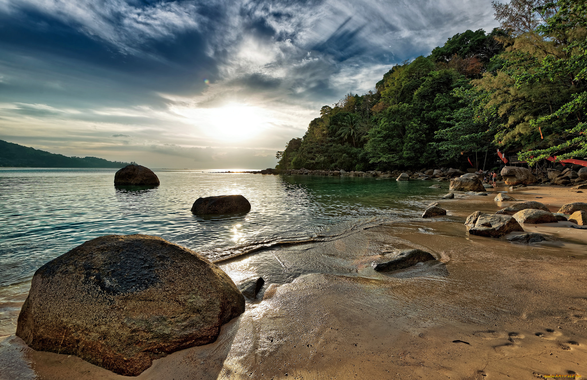 природа, тропики, пляж, лес