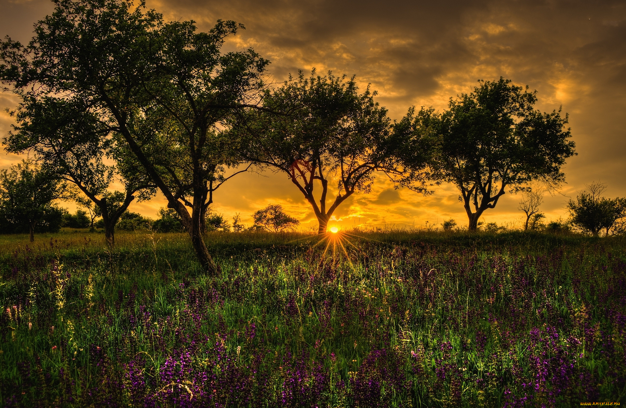 природа, восходы, закаты, рассвет