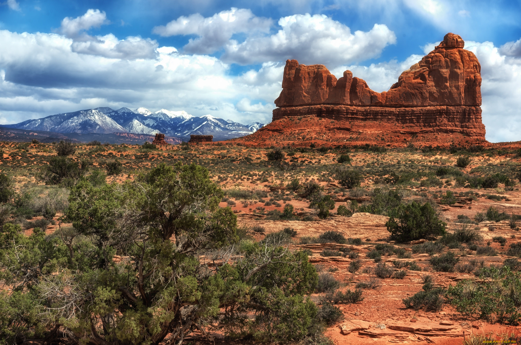 природа, пустыни, скалы, равнина, растительность