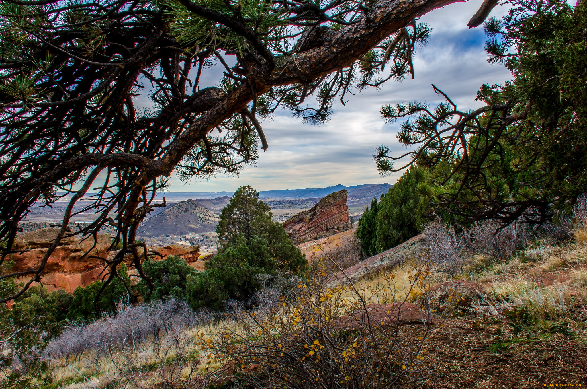 природа, горы, склон, деревья