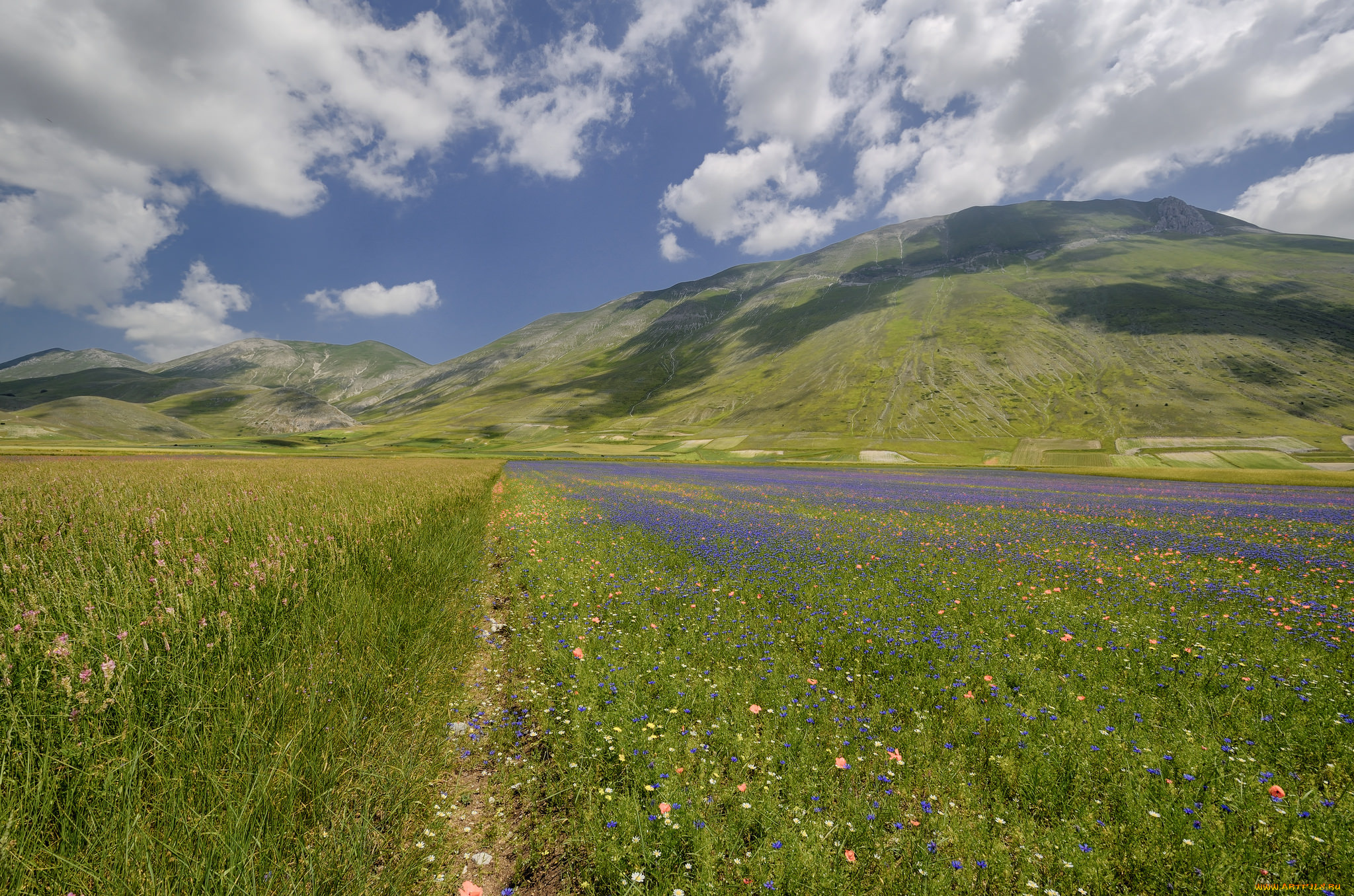 природа, луга, луг, горы