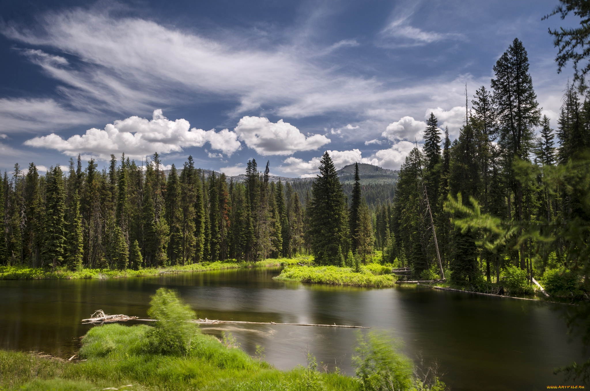 природа, реки, озера, горы, лес, река