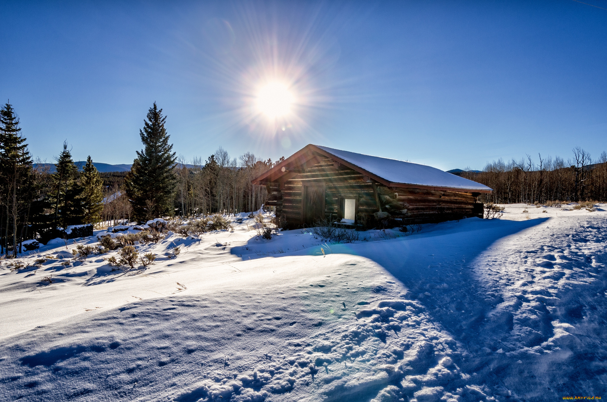 природа, зима, свет, снег, лес, поле