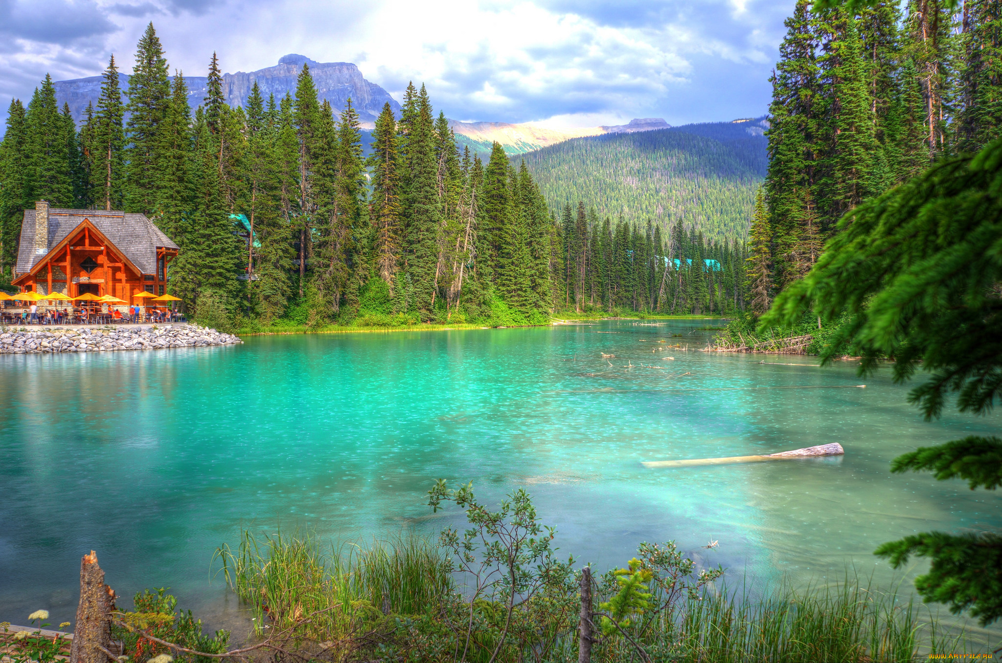 природа, реки, озера, лес, река