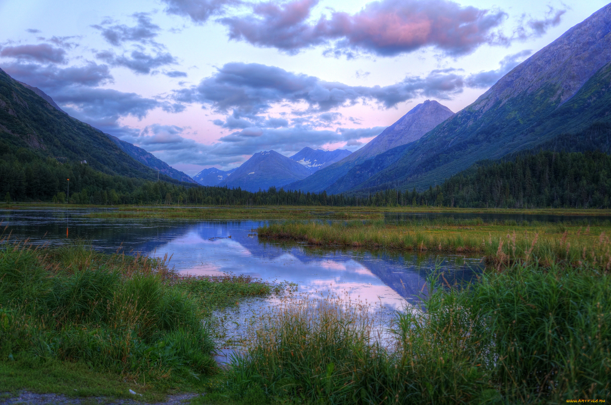 природа, реки, озера, лес, река