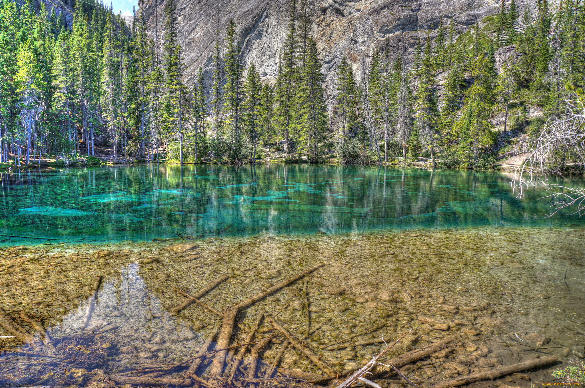 природа, реки, озера, лес, река