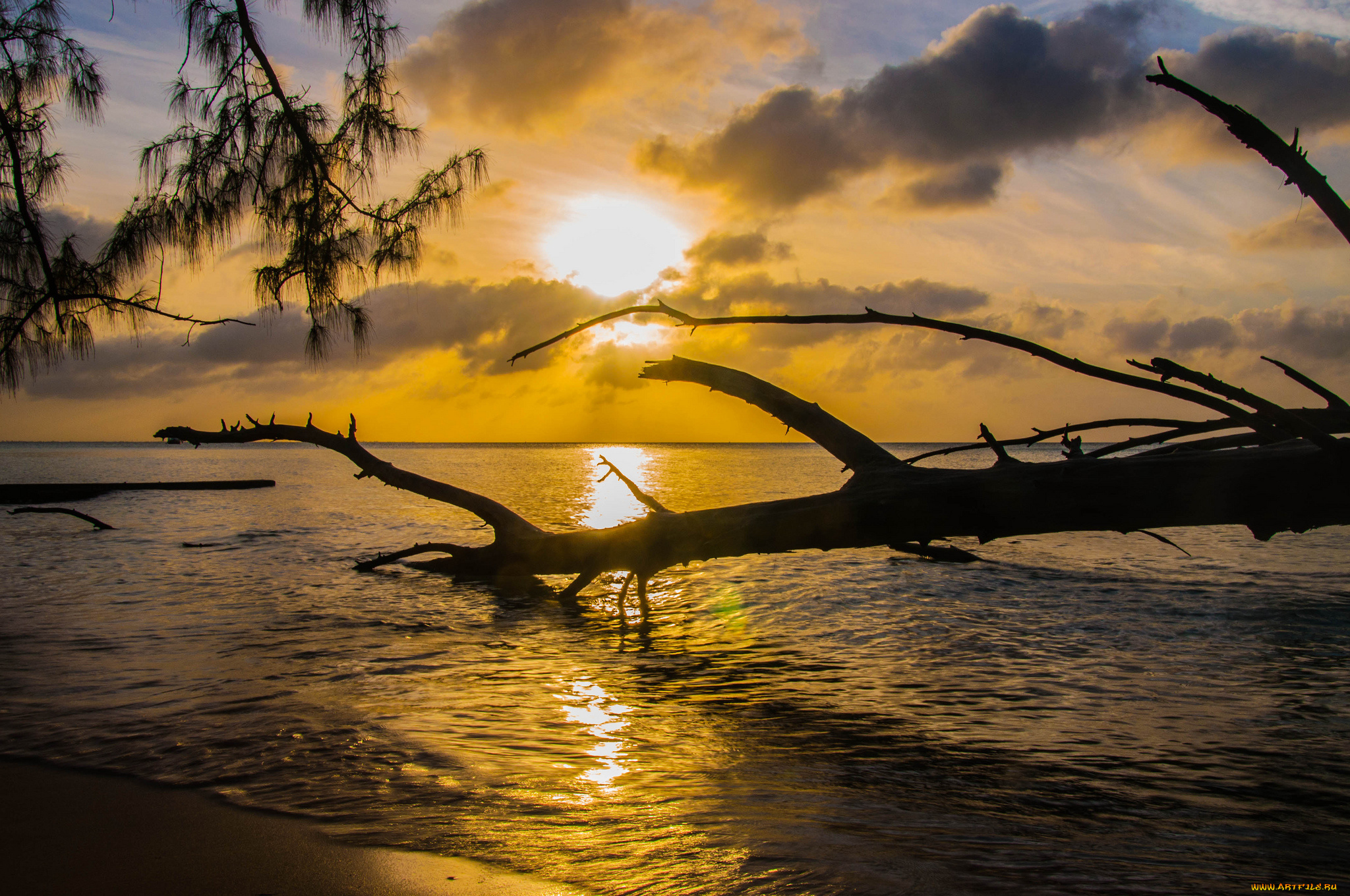 природа, восходы, закаты, закат