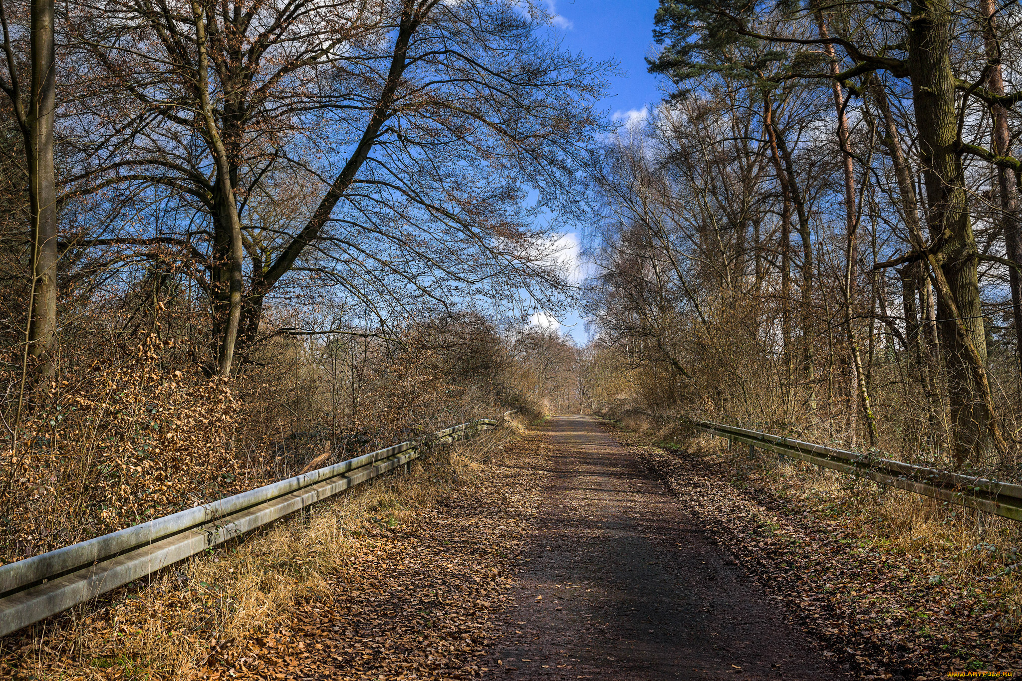 природа, дороги, осень, лес, тракт