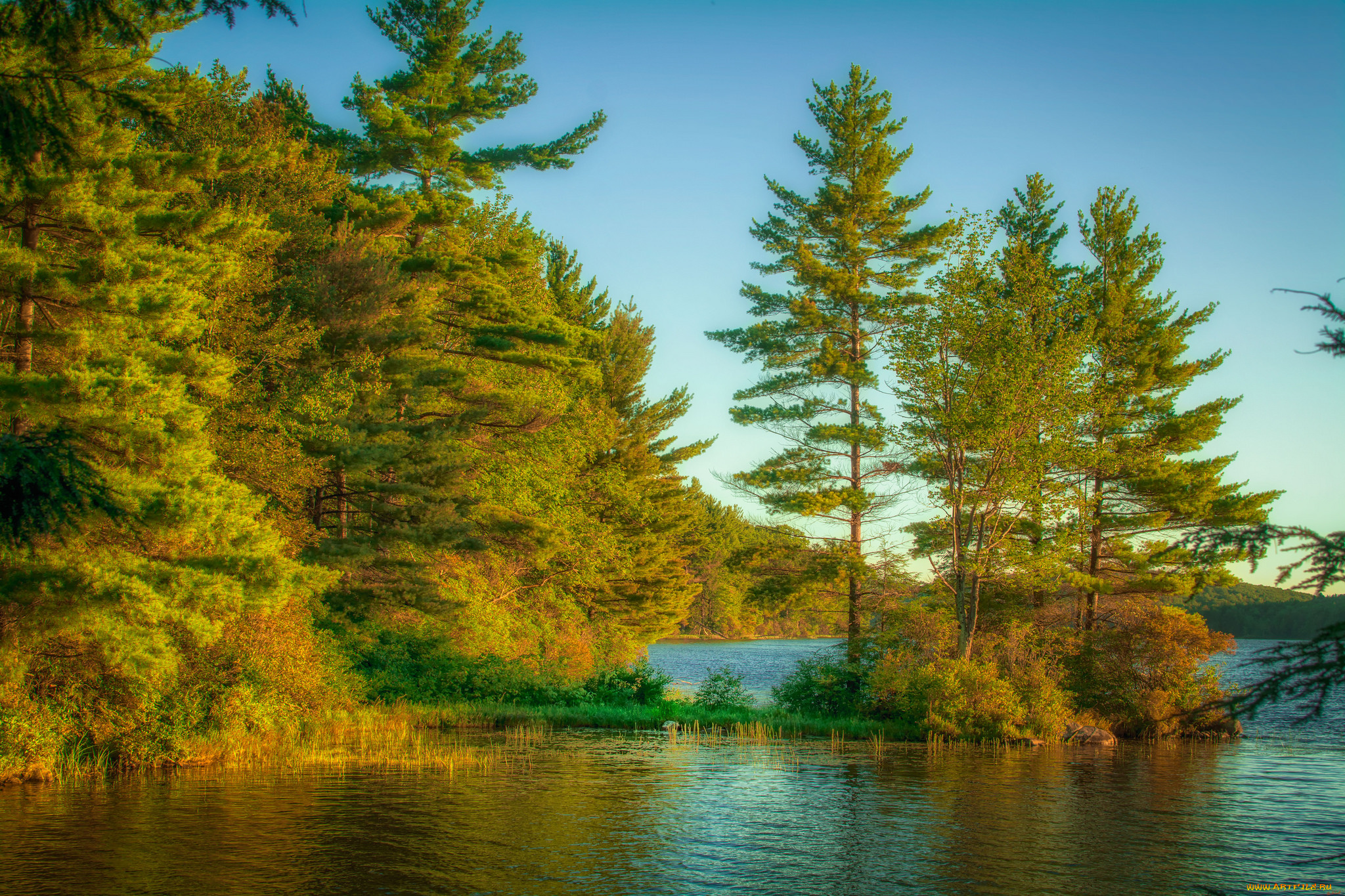 природа, реки, озера, река, лес