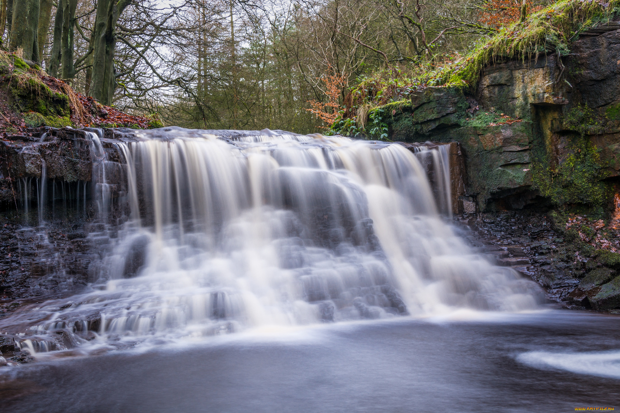 природа, водопады, лес, водопад, река