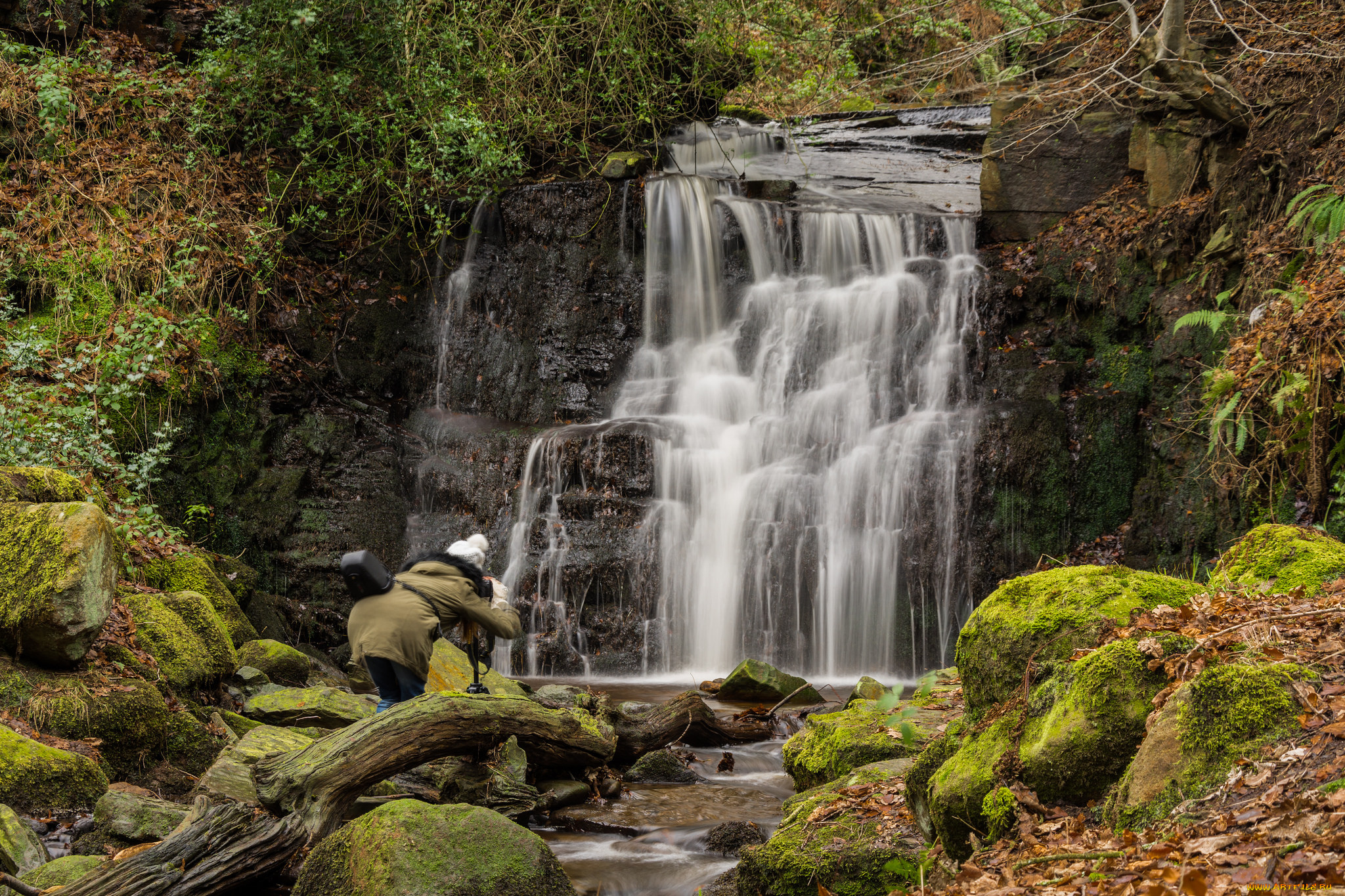 природа, водопады, водопад, река, лес