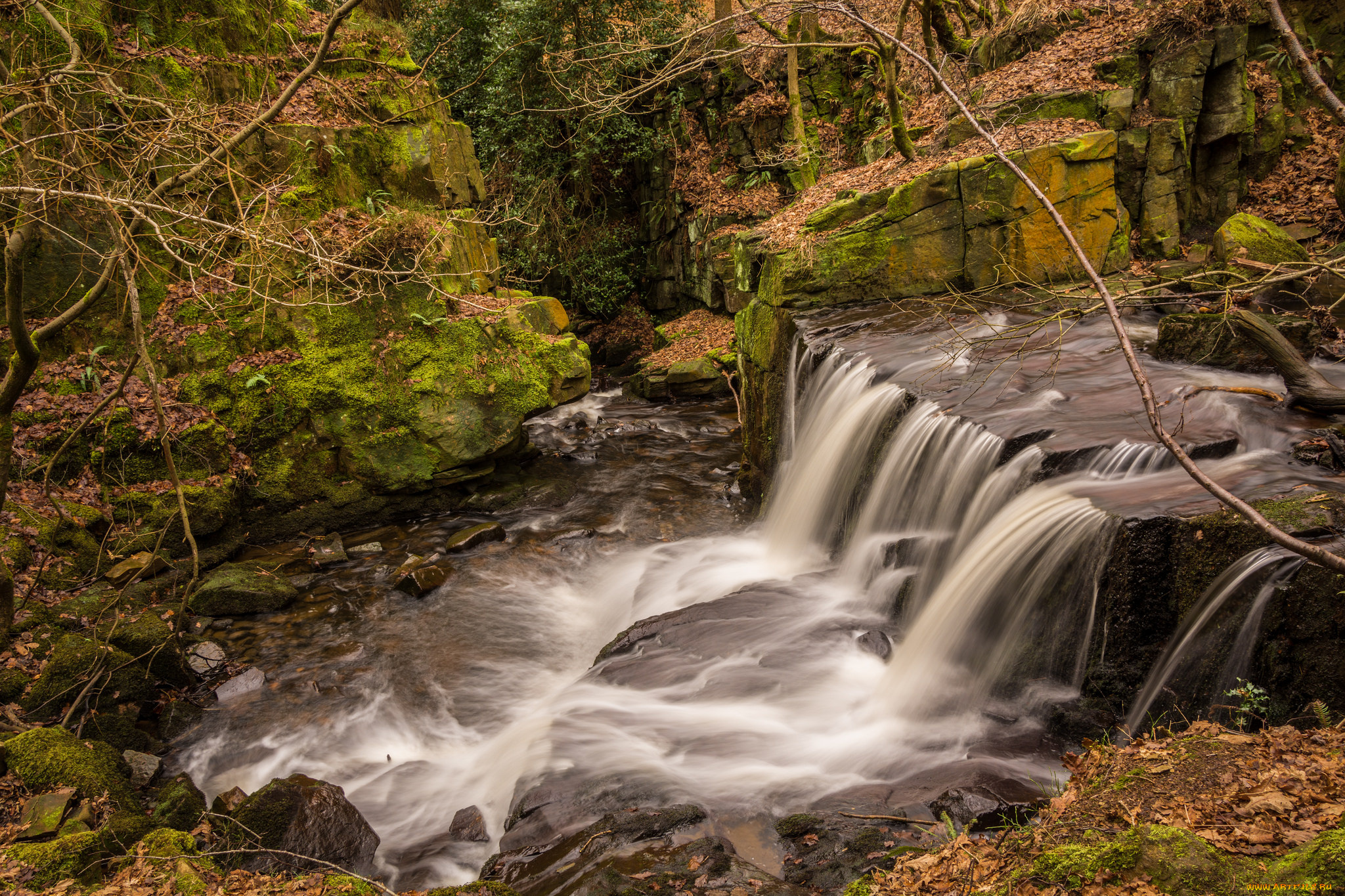 природа, водопады, водопад, река, лес