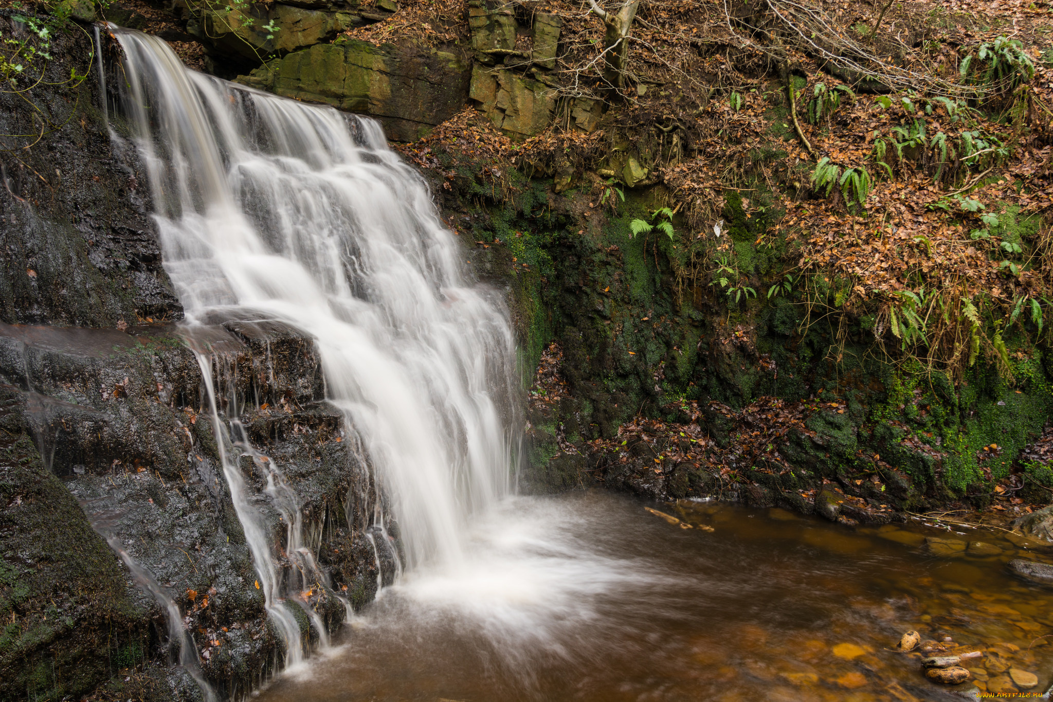 природа, водопады, водопад, река, лес