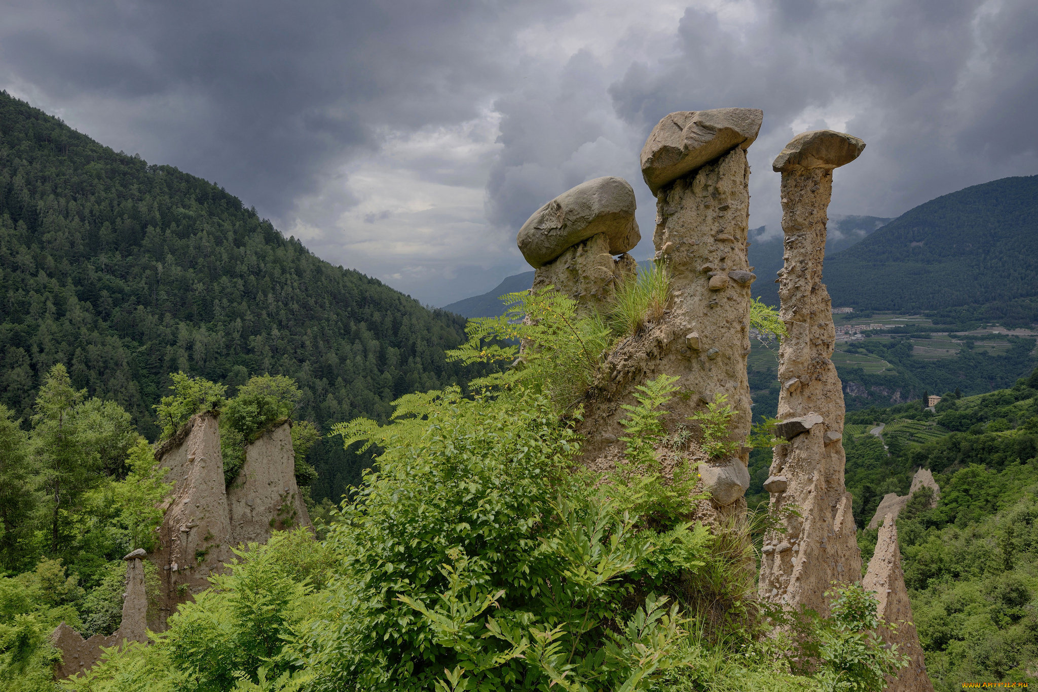 природа, горы, скалы, лес