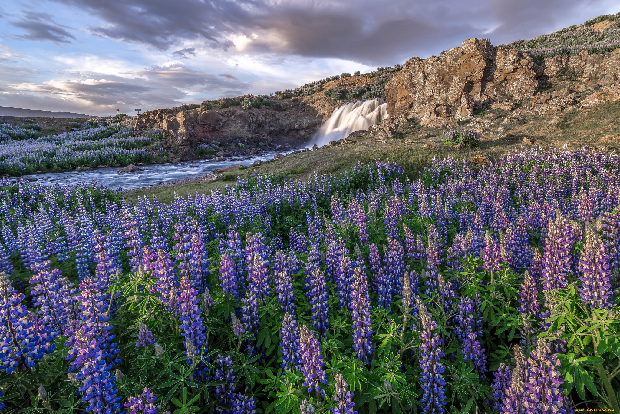 природа, луга, цветы, водопад