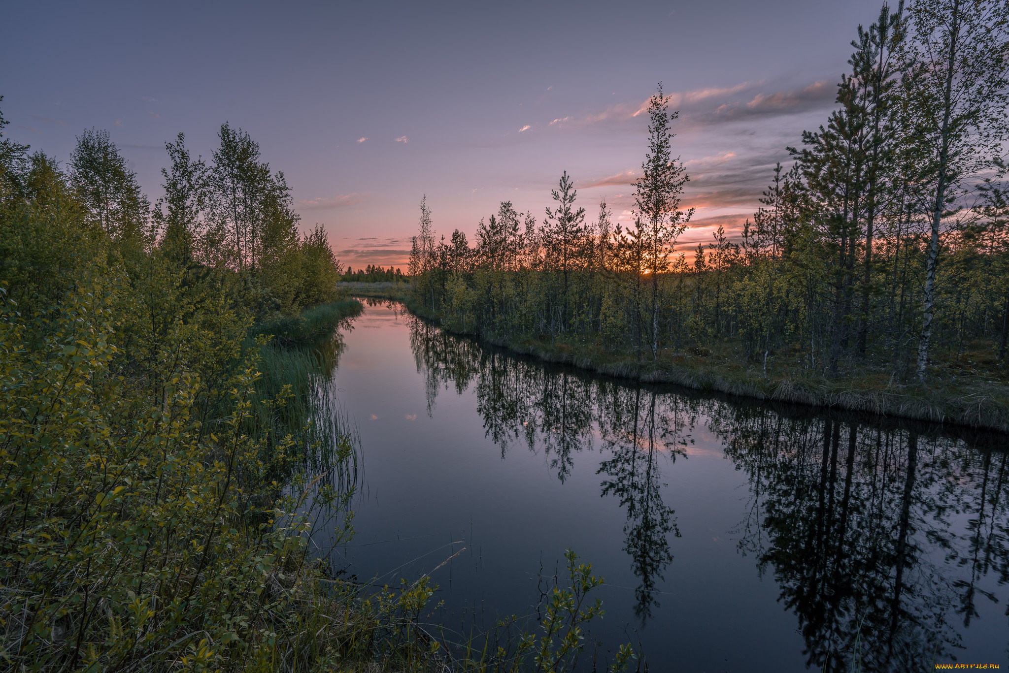 природа, реки, озера, лес, река