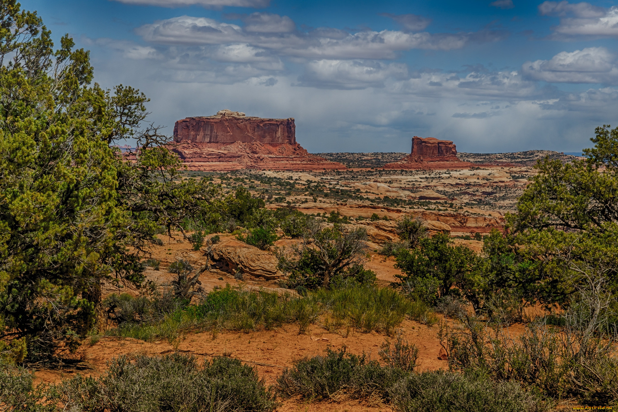 природа, пустыни, растительность, скалы, равнина