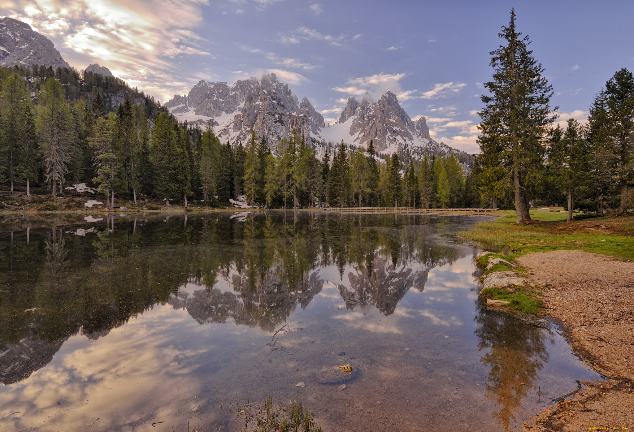 природа, реки, озера, река, отражение, лес