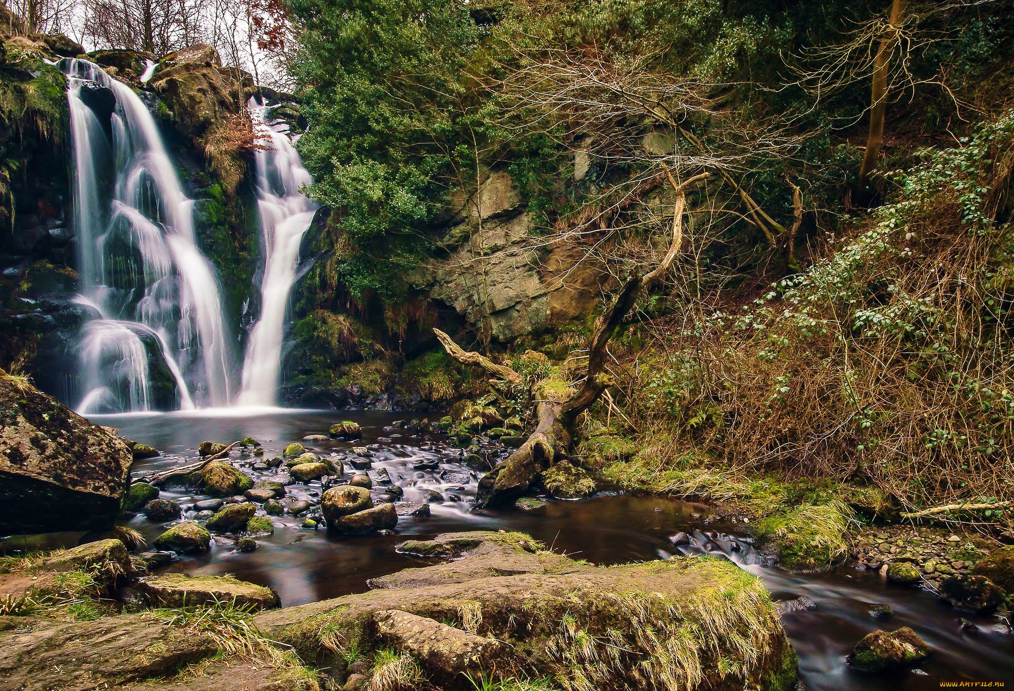 природа, водопады, лес, река, водопад