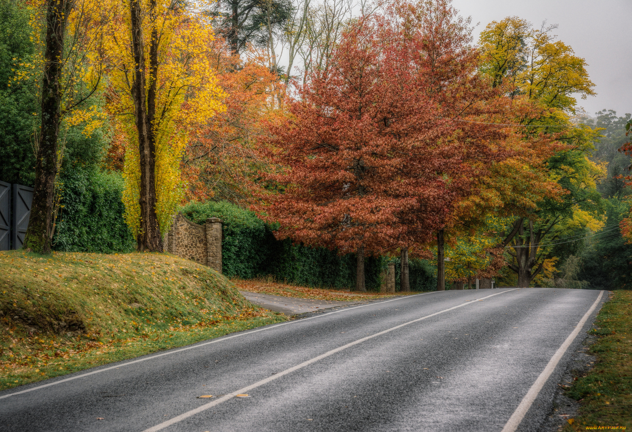 природа, дороги, шоссе