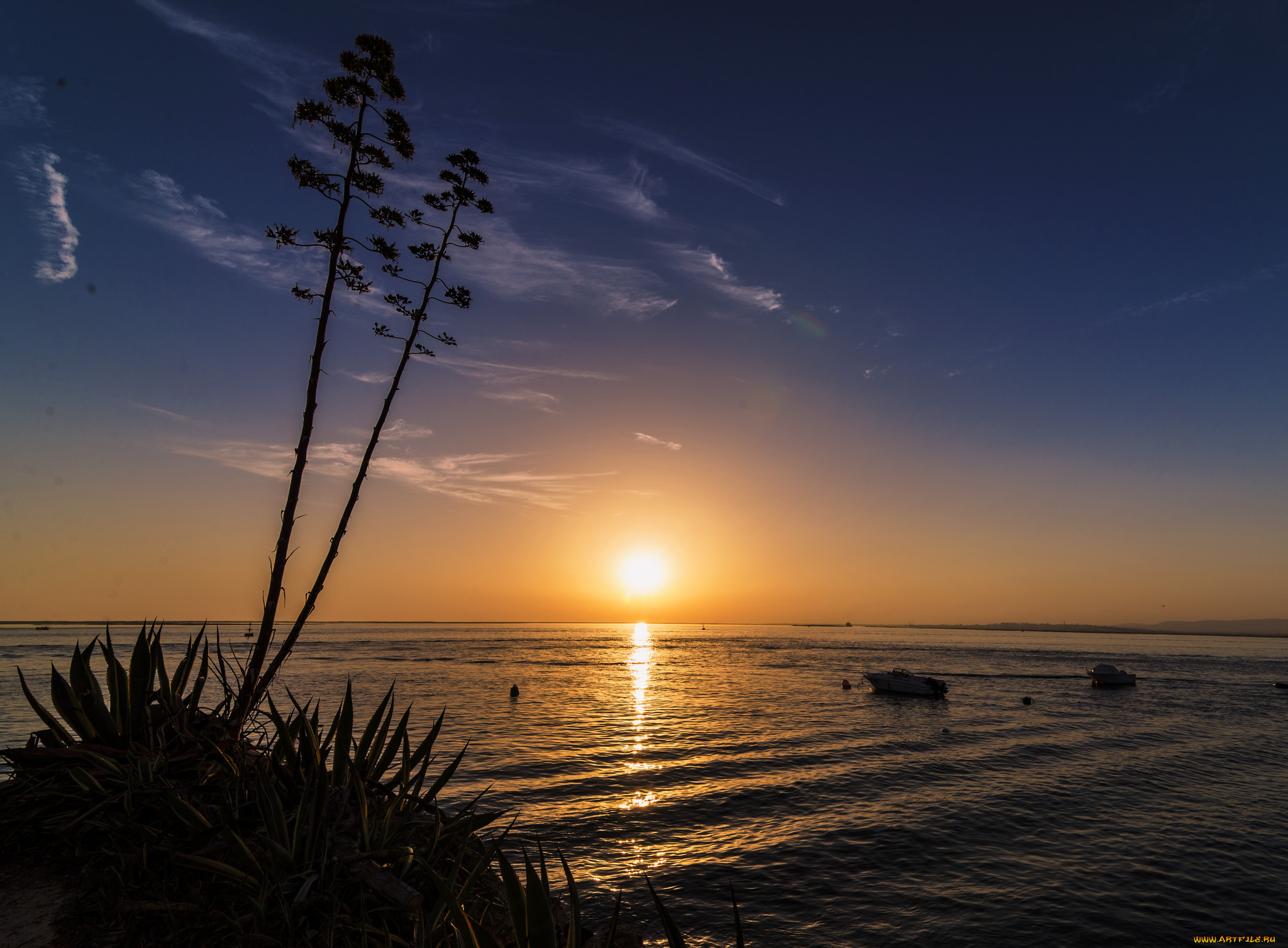 природа, восходы, закаты, утро, рассвет