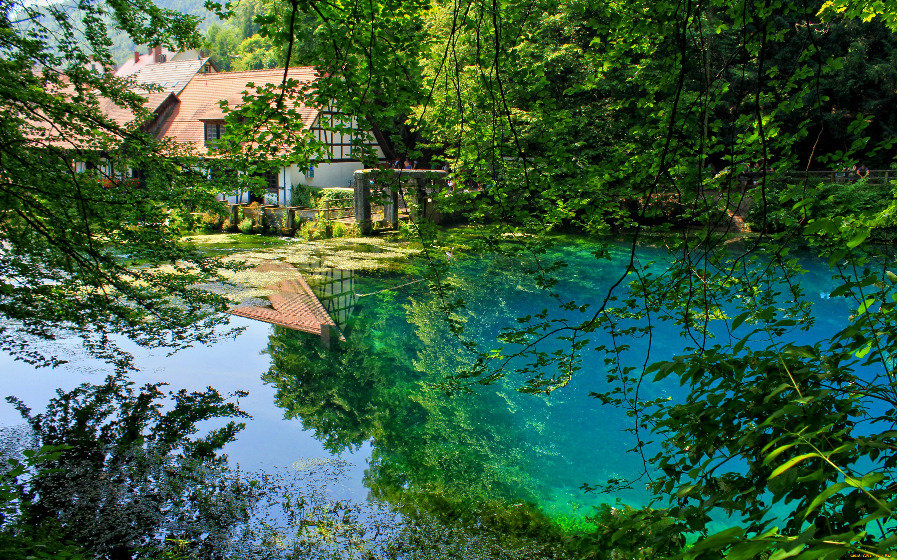 природа, реки, озера, германия, blaubeuren, сад, пруд, отражение, деревья, ветки