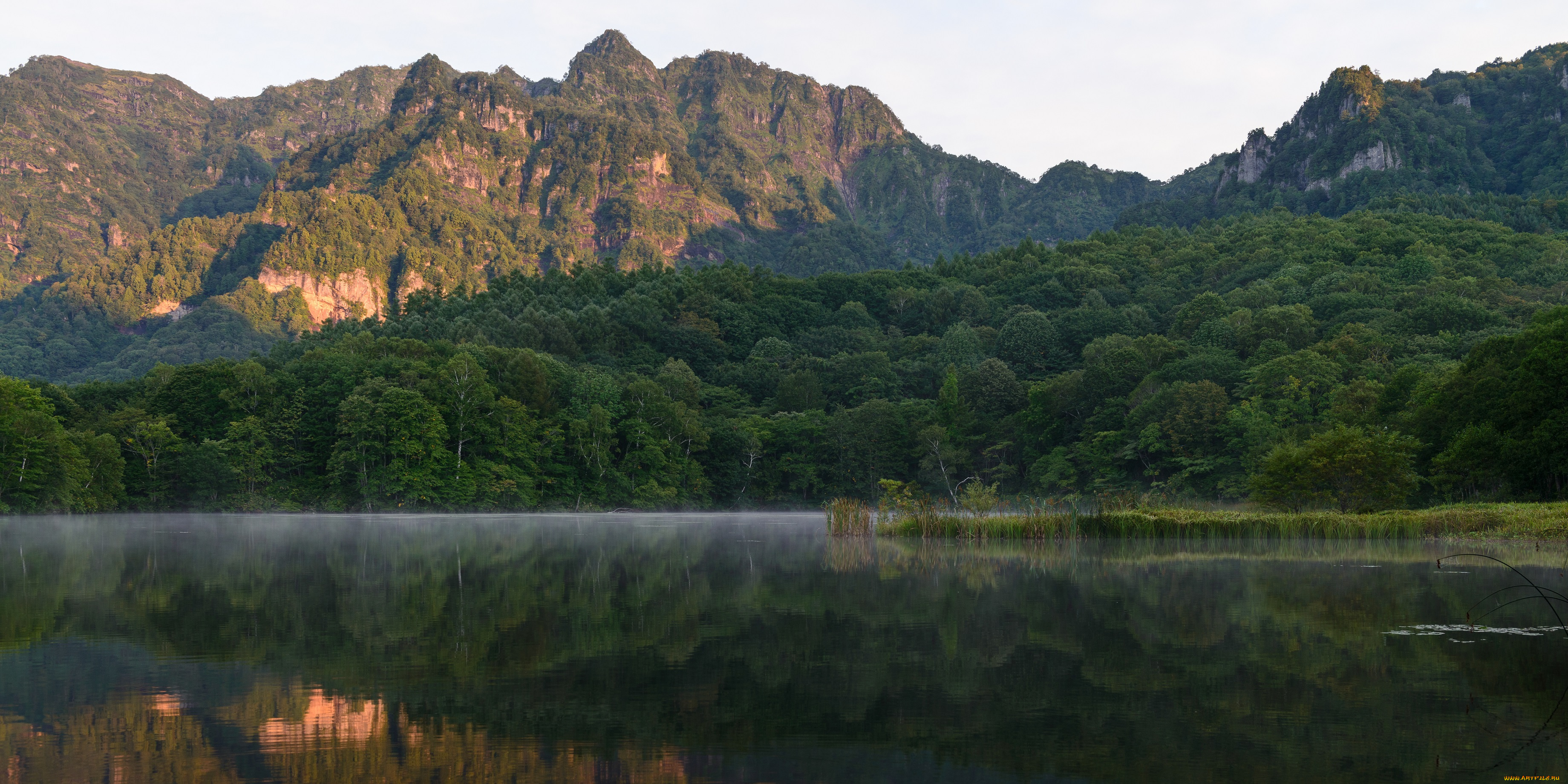 природа, реки, озера, лес, туман, утро, озеро