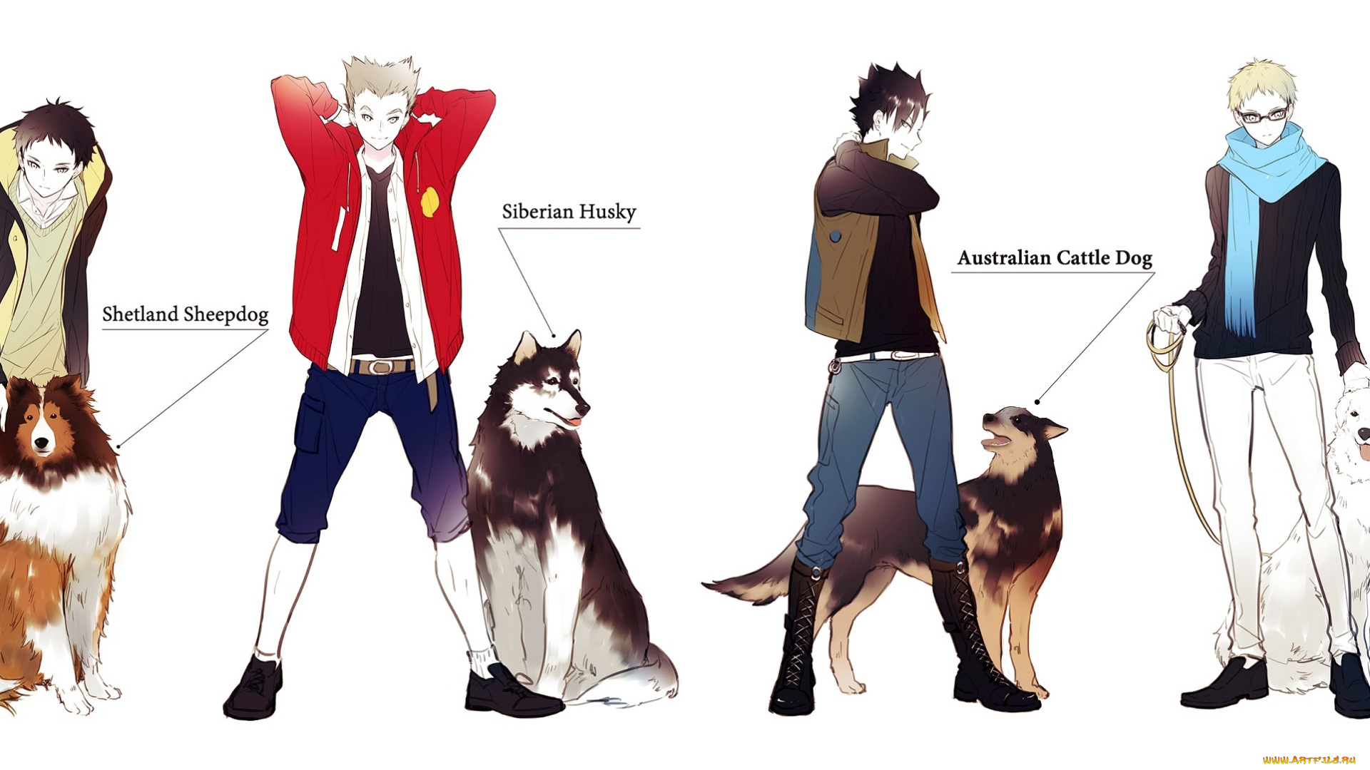 аниме, haikyuu, парни, волейбол