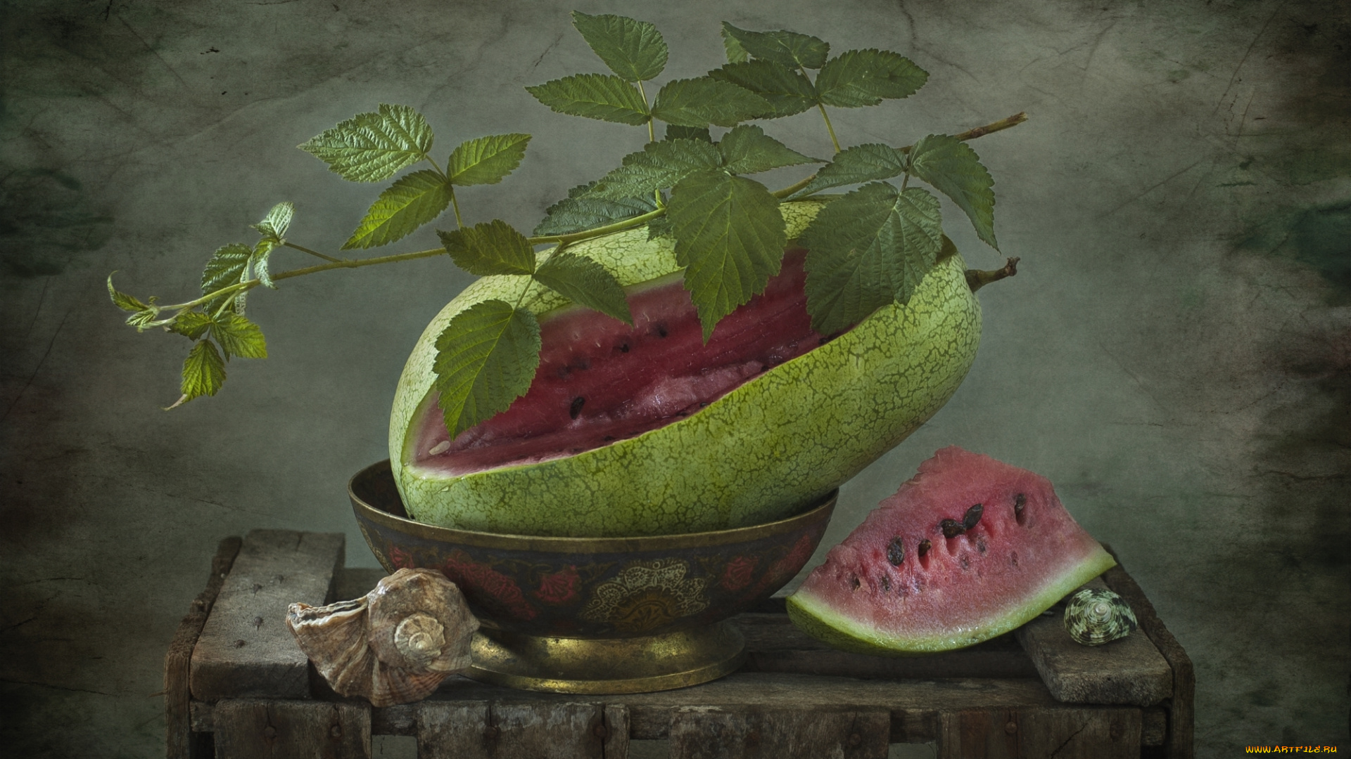 еда, арбуз, ракушки, листья