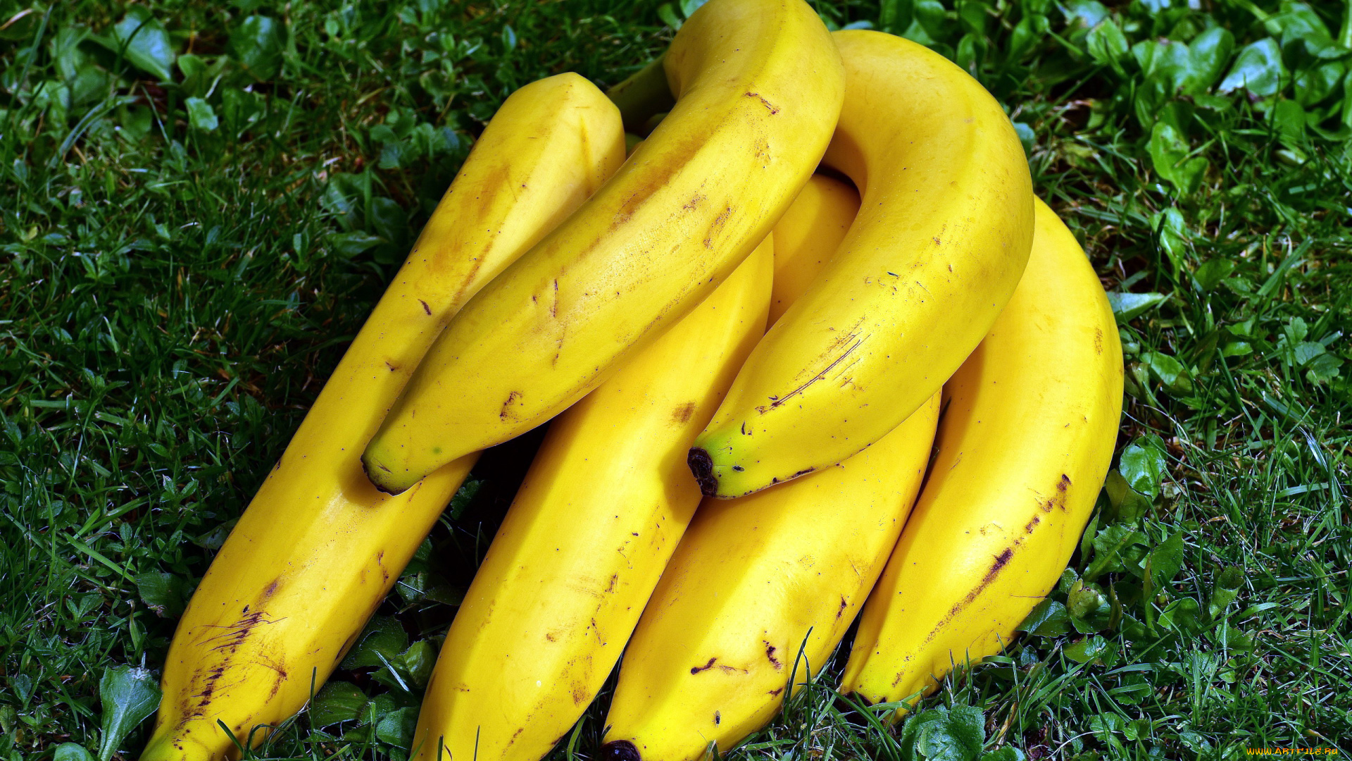 еда, бананы, гроздь, зрелые, трава