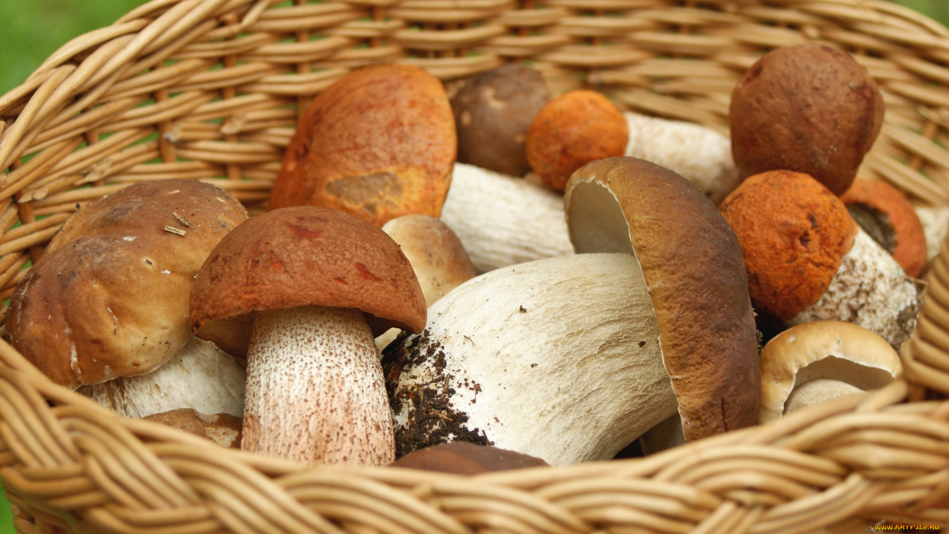 еда, грибы, , грибные, блюда, боровик, корзина