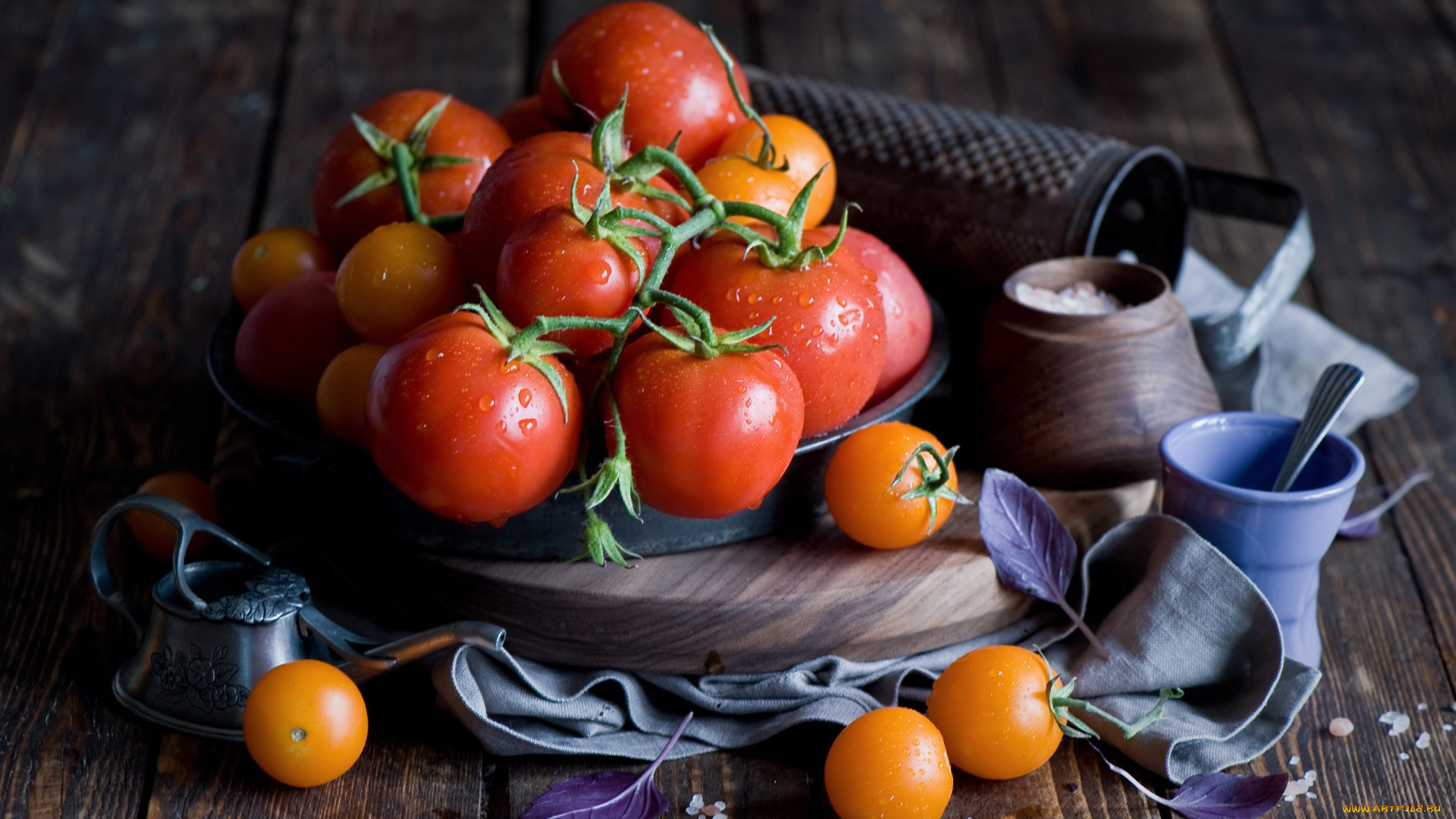 еда, помидоры, базилик, томаты, соль