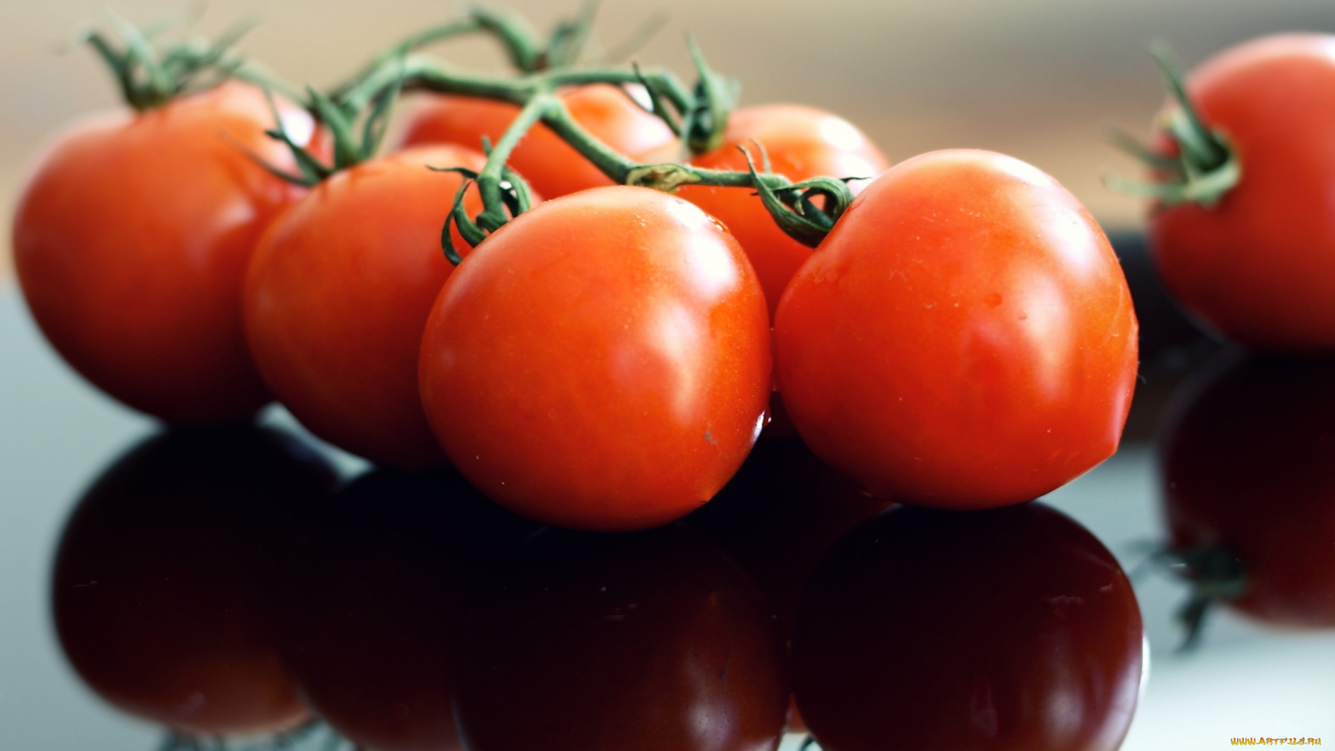 еда, помидоры, отражение, томаты, ветка