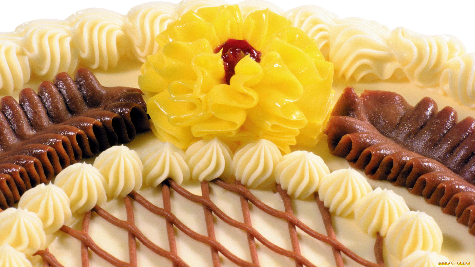 еда, торты, украшение, кремовое