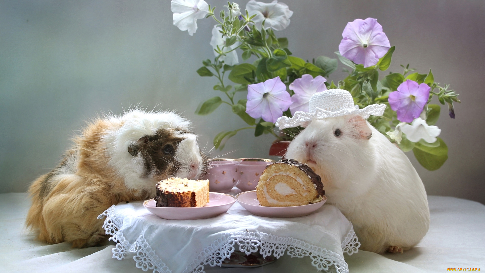 животные, морские, свинки, , хомяки, пирожное, морская, свинка, цветы