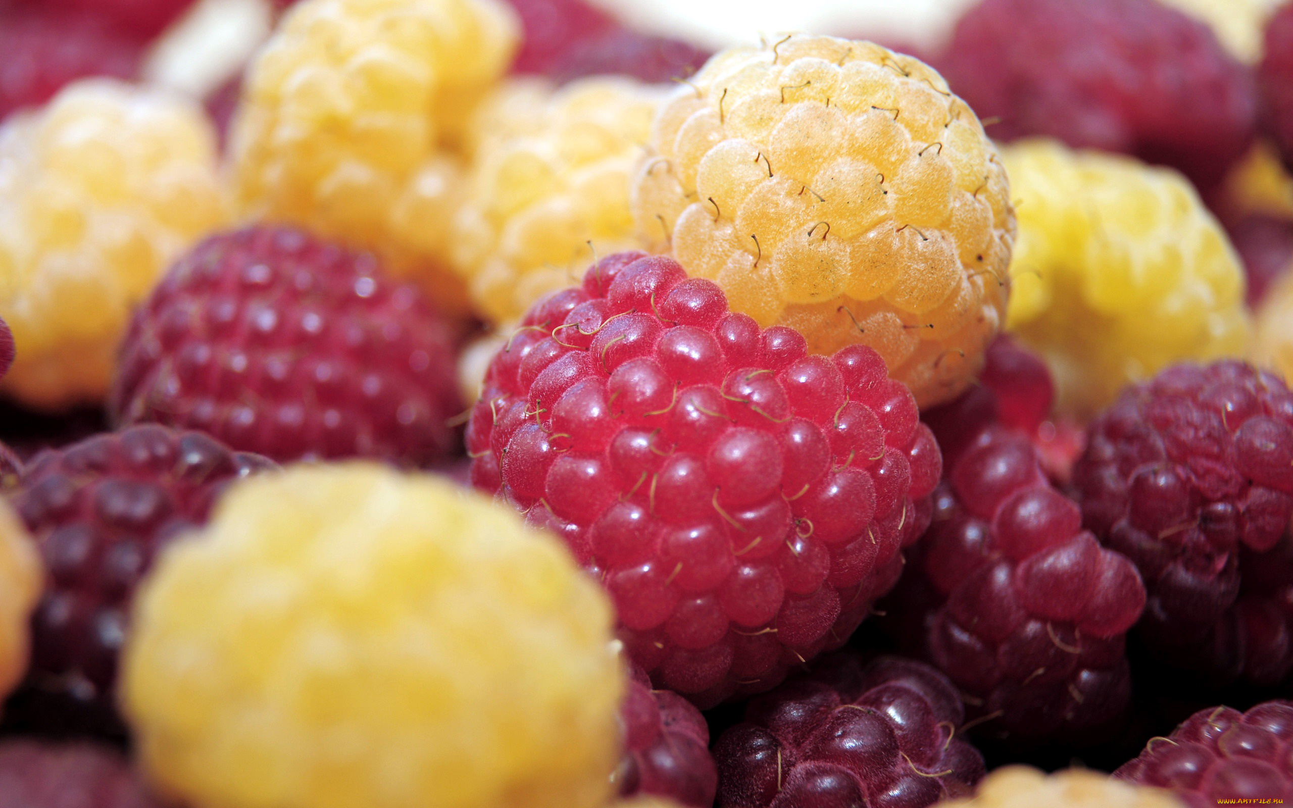 еда, малина, макро, ягоды