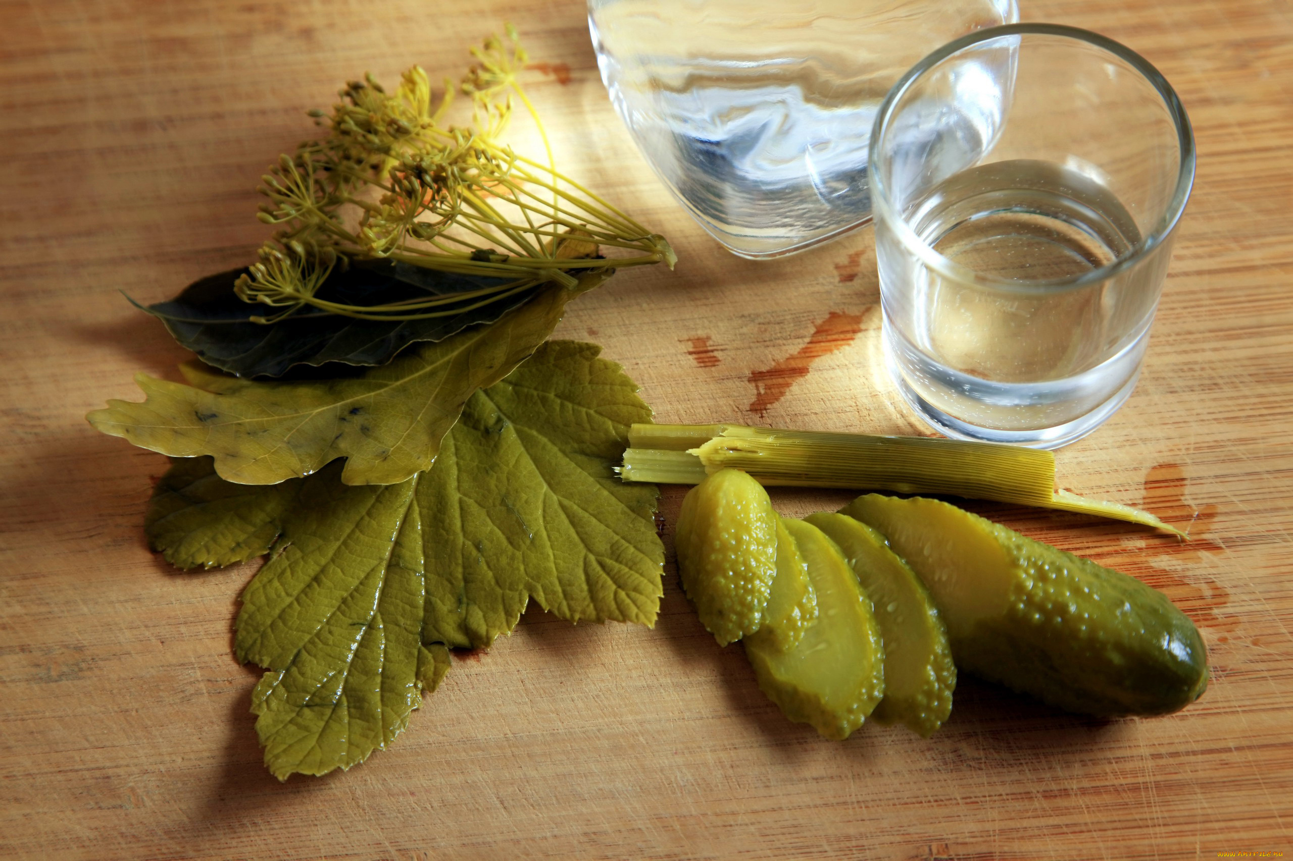 еда, огурцы, укроп, огурец, водка, рюмка, листья