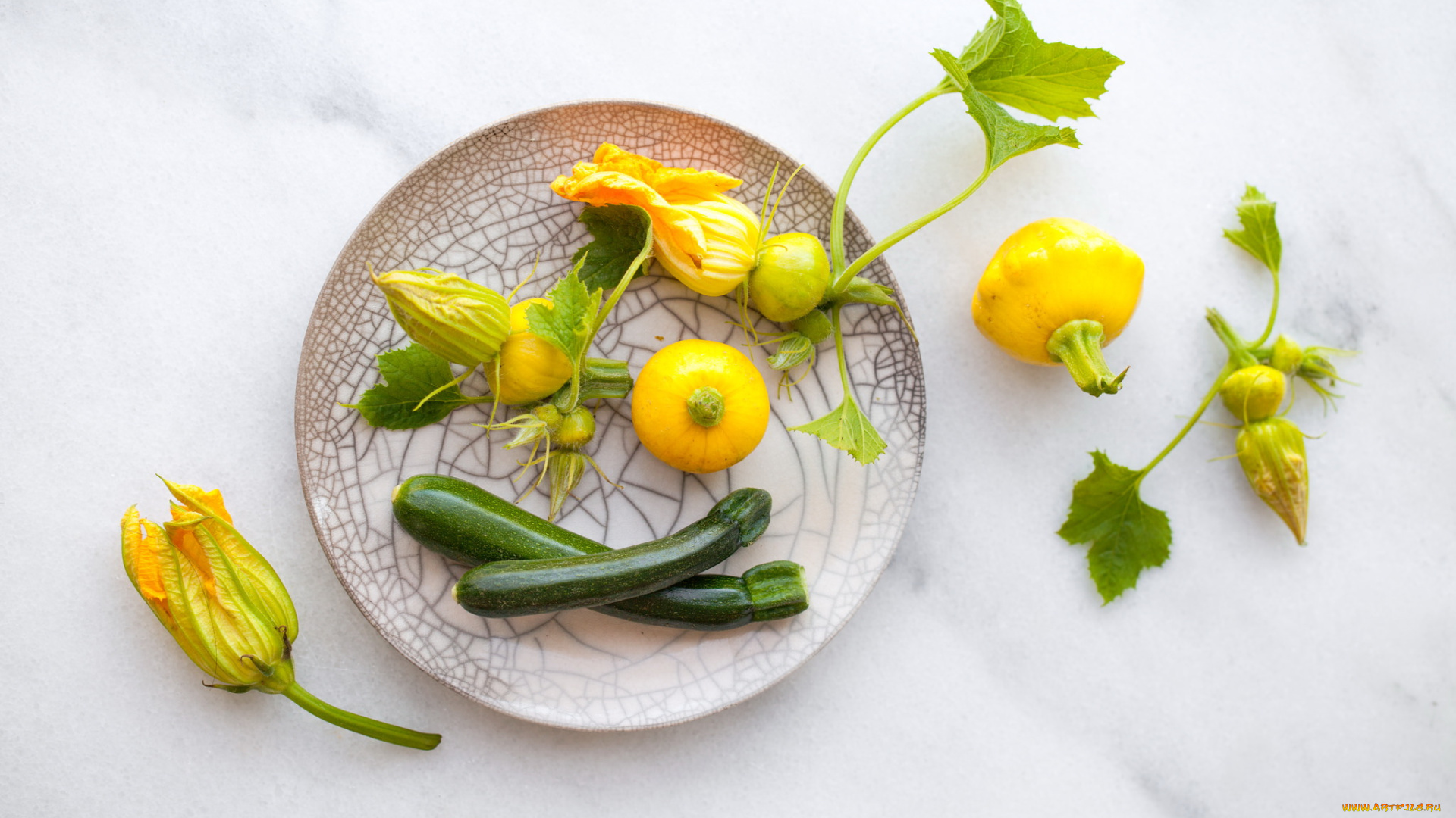 еда, овощи, фон, листья, тыква, тарелка, цукини, цветы